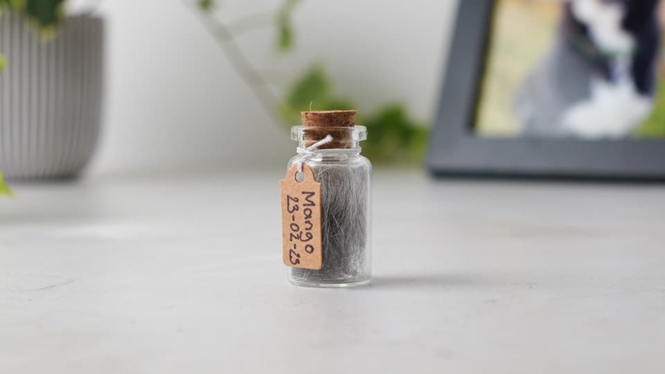 A small glass vial contains a clipped sample of hair. The vial is stoppered with a cork. There is a small cardboard tag secured with elastic around the vial neck reading: Mango, 23/02/23