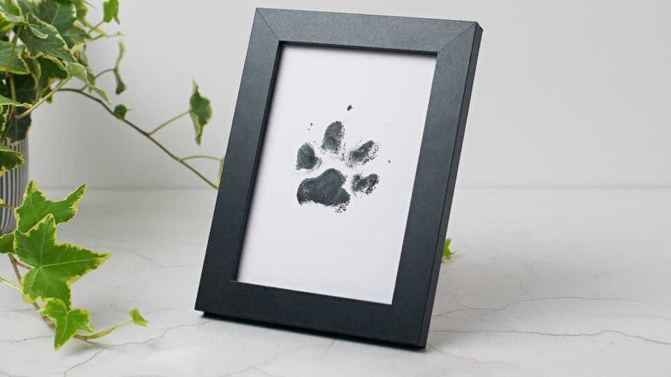 A black ink paw print sits in a black frame in portrait orientation