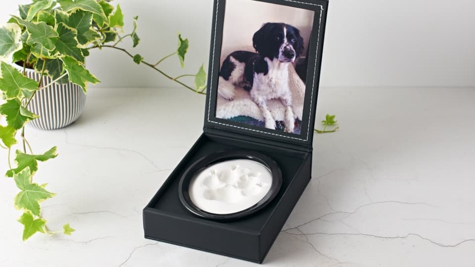 A black faux-leather case houses white polymer clay showing the impression of a paw print from a Spaniel. A picture of the Spaniel sits in a dedicated pouch on the inside of the lid
