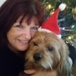 A tan-coloured Shih Tzu cross wearing a santa hat is being hugged by Helen, her owner, in front of a Christmas tree